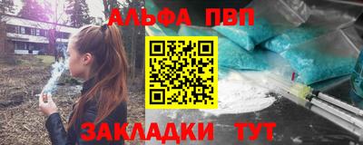 шишки Аргун