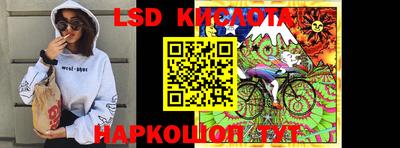 шишки Аргун