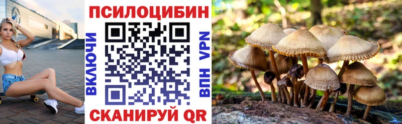 KRAKEN ссылка  Казань  Псилоцибиновые грибы Psilocybe 