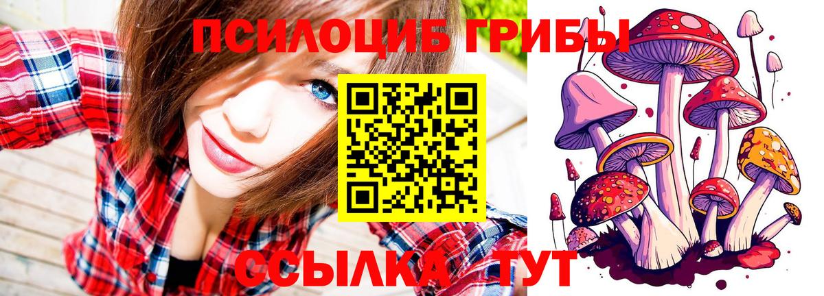 Псилоцибиновые грибы Cubensis Казань