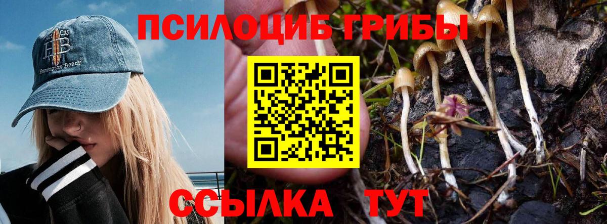 Псилоцибиновые грибы Psilocybine cubensis  Вход с VPN  как найти закладки  Казань 