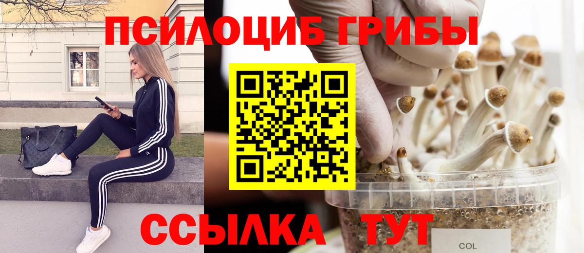 Галлюциногенные грибы MAGIC MUSHROOMS  Галлюциногенные грибы мухоморы  Казань 