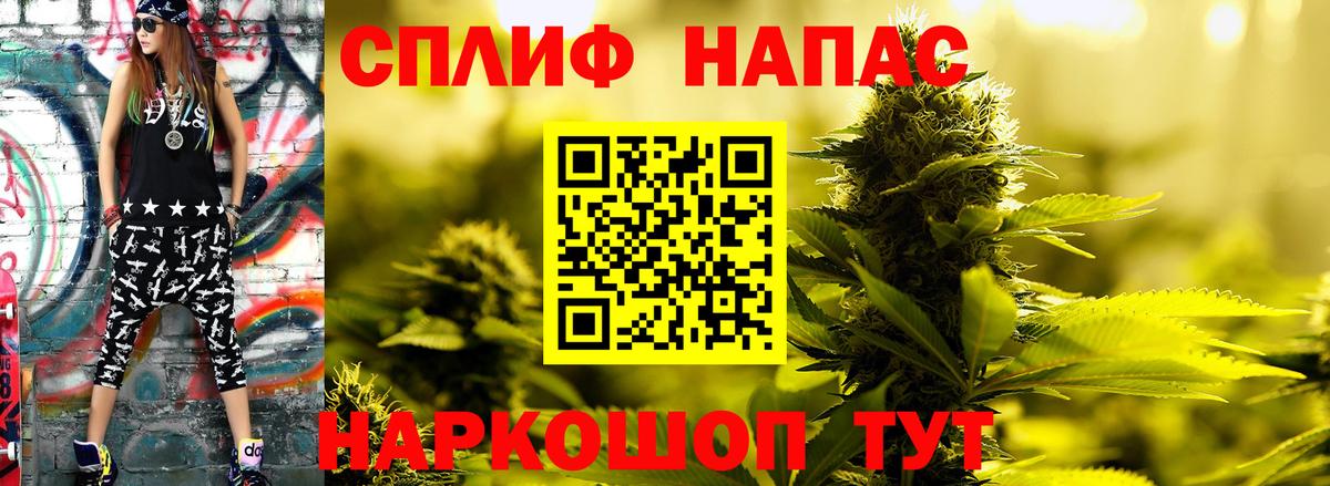 Конопля гибрид Казань